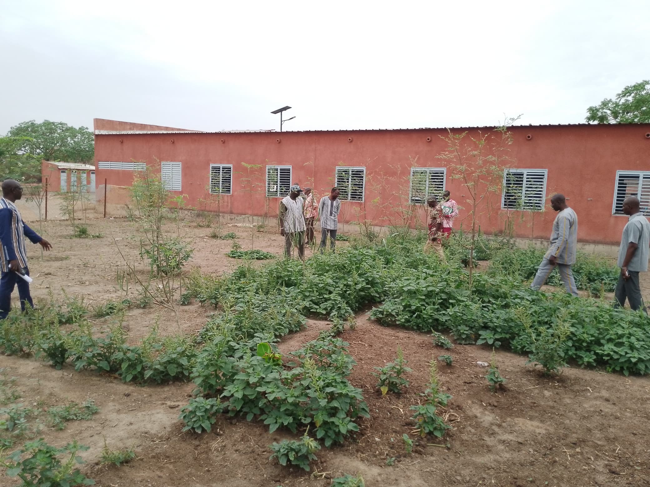 Ziro/3ᵉ édition des JEPPC : le président de la Délégation spéciale de la commune de Sapouy visite le jardin scolaire de l’École primaire publique du secteur 4